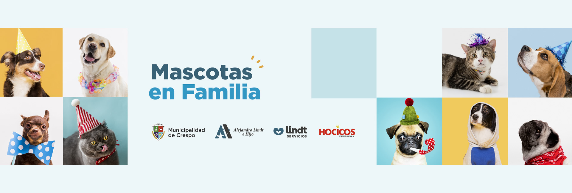 Lindt SERVICIOS - Alejandro Lindt e Hijo